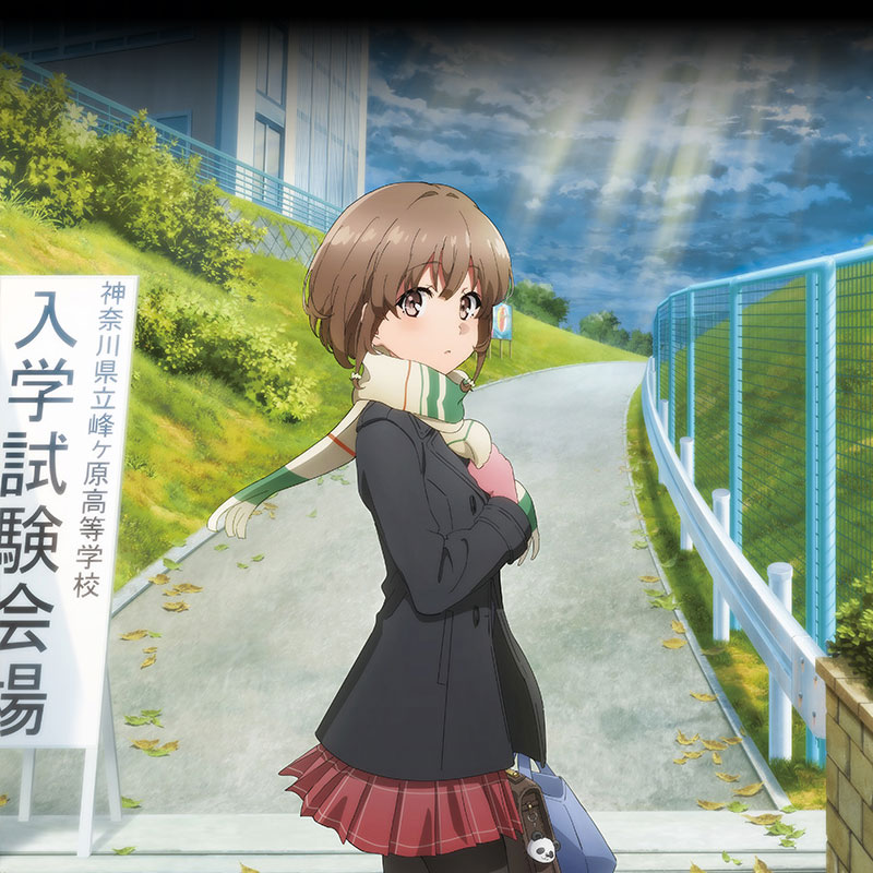 青春ブタ野郎はおでかけシスターの夢を見ない