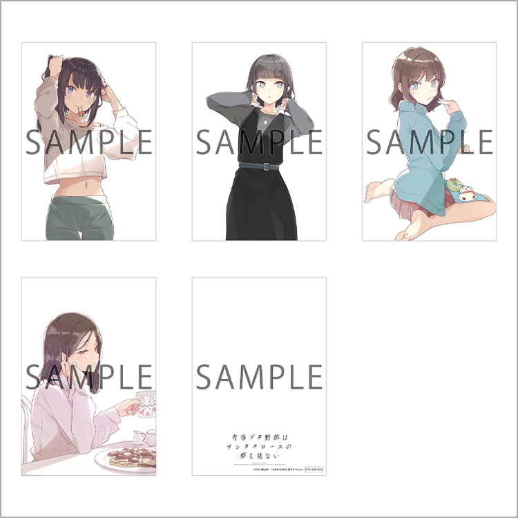 Blu-ray&DVD | 青春ブタ野郎はサンタクロースの夢を見ない