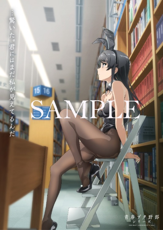 News | TVアニメ「青春ブタ野郎はバニーガール先輩の夢を見ない」公式
